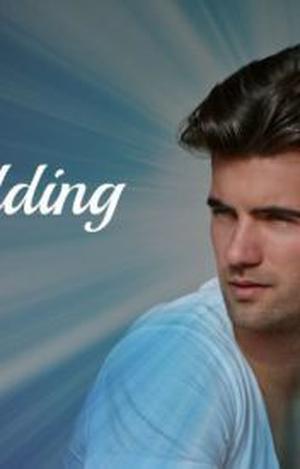The Wedding by Jennifer L. Armentrout