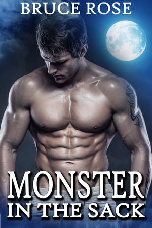 Monster in the Sack (A Fairview Story #3)