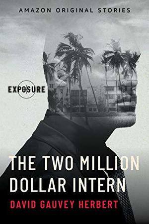 The Two Million Dollar Intern by David Gauvey Herbert