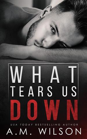 What Tears Us Down (Arrow Creek #3)