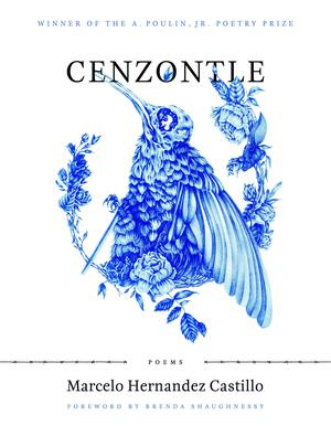 Cenzontle by Marcelo Hernández Castillo