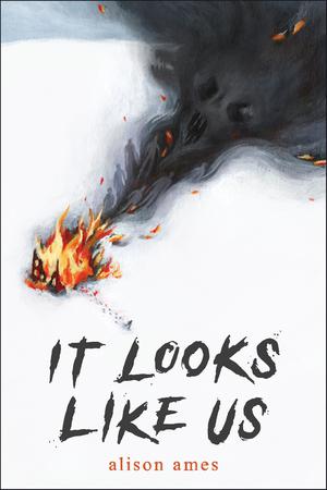 It Looks Like Us by Alison Ames