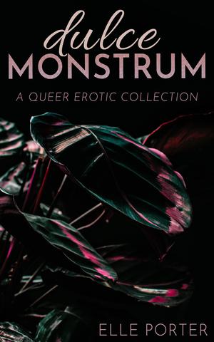 Dulce Monstrum: A Queer Erotic Collection by Elle Porter