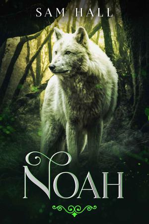 Noah by Sam Hall