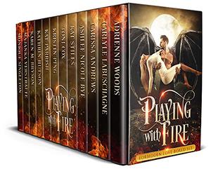 Playing with Fire Box Set by Adrienne Woods, Carlyle Labuschagne, Kristin Ping