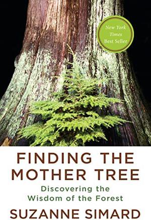 Finding the Mother Tree: Discovering the Wisdom of the Forest by Suzanne Simard