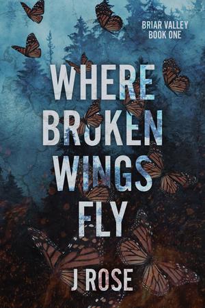 Where Broken Wings Fly (Briar Valley #1)