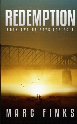 boys for sale 2 by Marc Finks