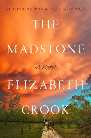 The Madstone by Elizabeth Crook