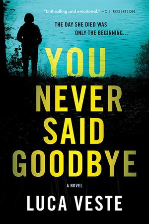You Never Said Goodbye by Luca Veste