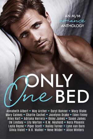 Only One Bed by Annabeth Albert, May Archer, Daryl Banner, Macy Blake, Mary Calmes, Charlie Cochet, Jocelynn Drake, Eden Finley, Riley Hart, Adriana Herrera, Onley James, Saxon James, E.M. Lindsey, Lily Morton, K.M. Neuhold, Nora Phoenix, Layla Reyne, Piper Scott, Hailey Turner, Lynn Van Dorn, Silvia Violet, N.R. Walker, Neve Wilder, Alice Winters