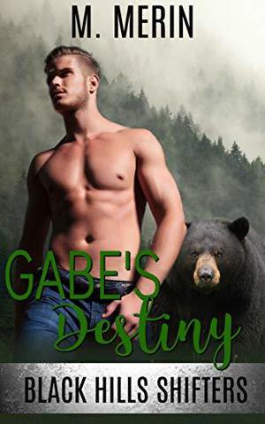 Gabe's Destiny by M. Merin