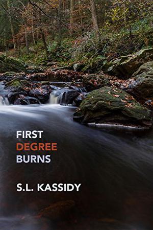 First Degree Burns by S.L. Kassidy