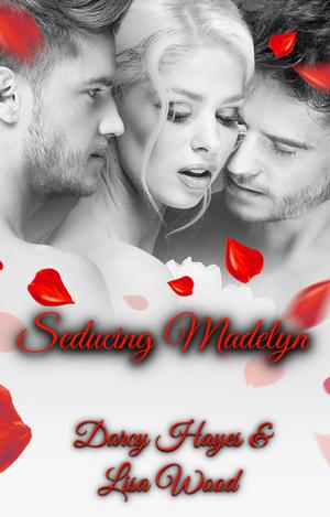 Seducing Madelyn by Darcy Hayes, Lisa Wood