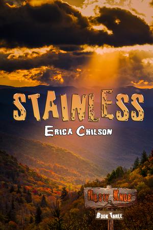 Stainless by Erica Chilson