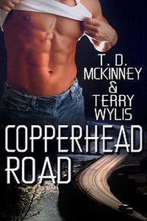 Copperhead Road (Southern Beaus #3)