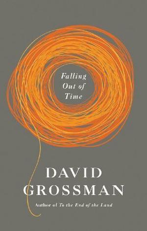 Falling Out of Time by David Grossman