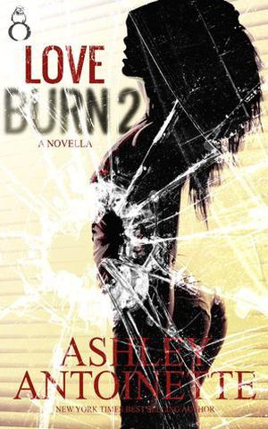 Love Burn 2 (Love Burn Series #2)