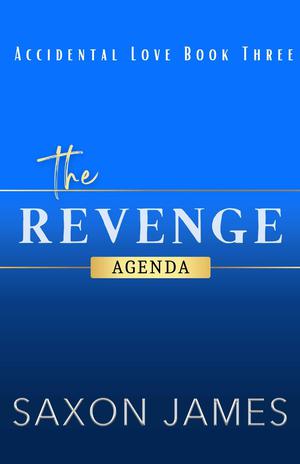 The Revenge Agenda (Accidental Love #3)