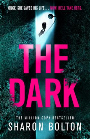 The Dark (Lacey Flint #5)