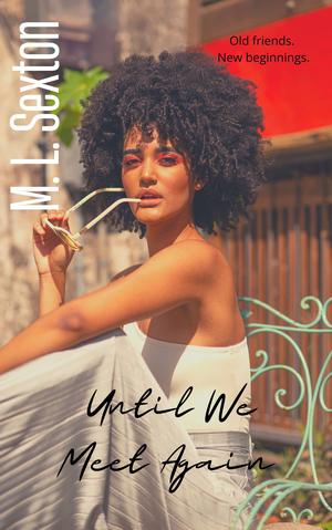 Until We Meet Again by M.L. Sexton