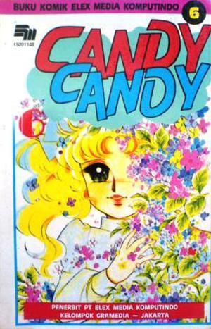 Candy Candy, Vol. 6 (Candy Candy #6)