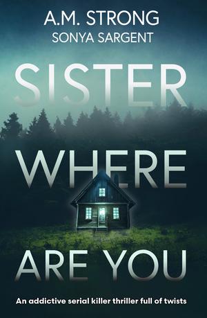 Sister Where Are You (Patterson Blake FBI Mystery #1)