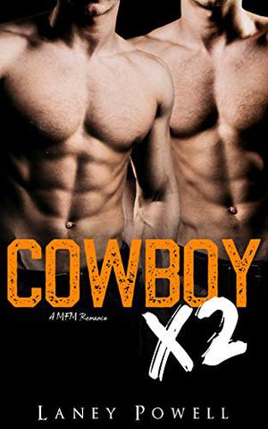 Cowboy X2 (Broken Falls Ranch #2.5)