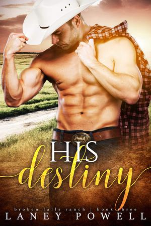 His Destiny (Broken Falls Ranch #3)