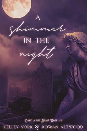 A Shimmer in the Night (Dark is the Night #2.5)