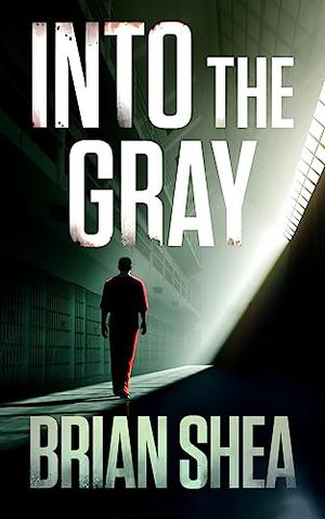 Into the Gray by Brian Christopher Shea