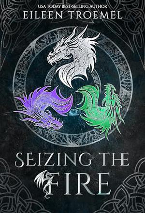 Seizing the Fire by Eileen Troemel