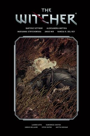 The Witcher: Library Edition, Volume 2 (The Witcher (Dark Horse Comics) #4-6)