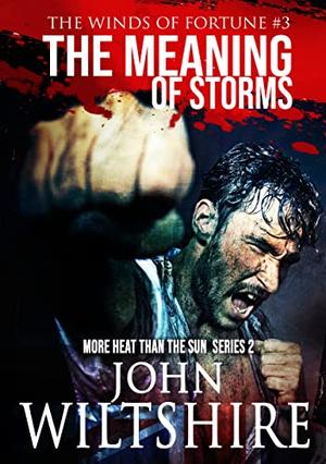 The Meaning of Storms (The Winds of Fortune #3)