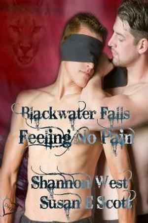 Feeling No Pain (Blackwater Falls #4)