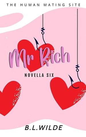Mr. Rich by B.L. Wilde