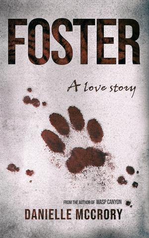 Foster: A Love Story by Danielle McCrory