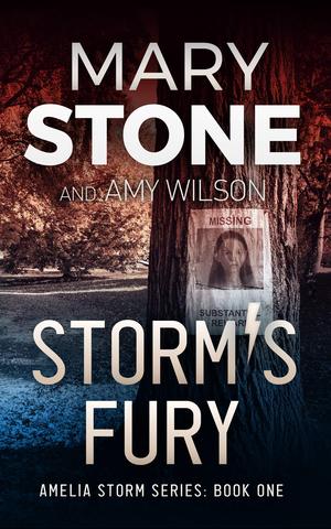 Storm's Fury by Mary Stone, Amy Wilson