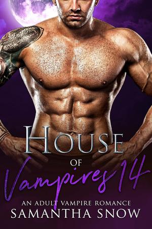 House Of Vampires 14: The Daywalkers (House of Vampires #14)