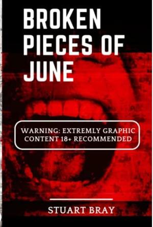 Broken pieces of June (Broken pieces of June #1)