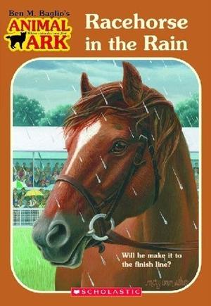 Racehorse in the Rain by Ben M. Baglio