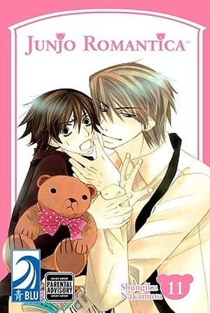 Junjo Romantica, Volume 11 (純情ロマンチカ [Junjō Romantica] #11)