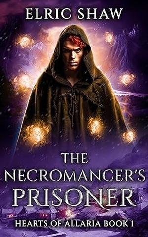 The Necromancer's Prisoner by Elric Shaw