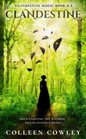 Clandestine by Colleen Cowley
