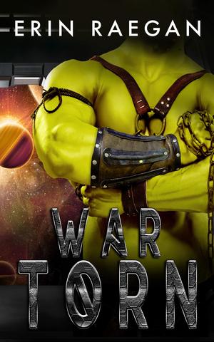 War Torn by Erin Raegan