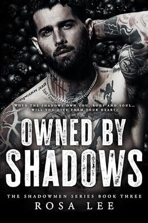 Owned by Shadows (The Shadowmen #3)
