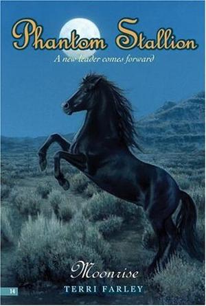 Moonrise (Phantom Stallion #14)