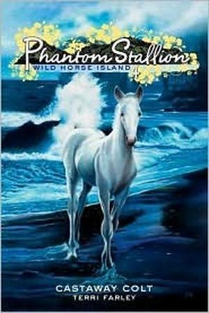 Castaway Colt by Terri Farley