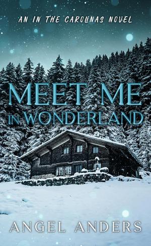 Meet Me in Wonderland by Angel Anders