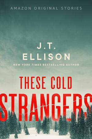 These Cold Strangers by J.T. Ellison